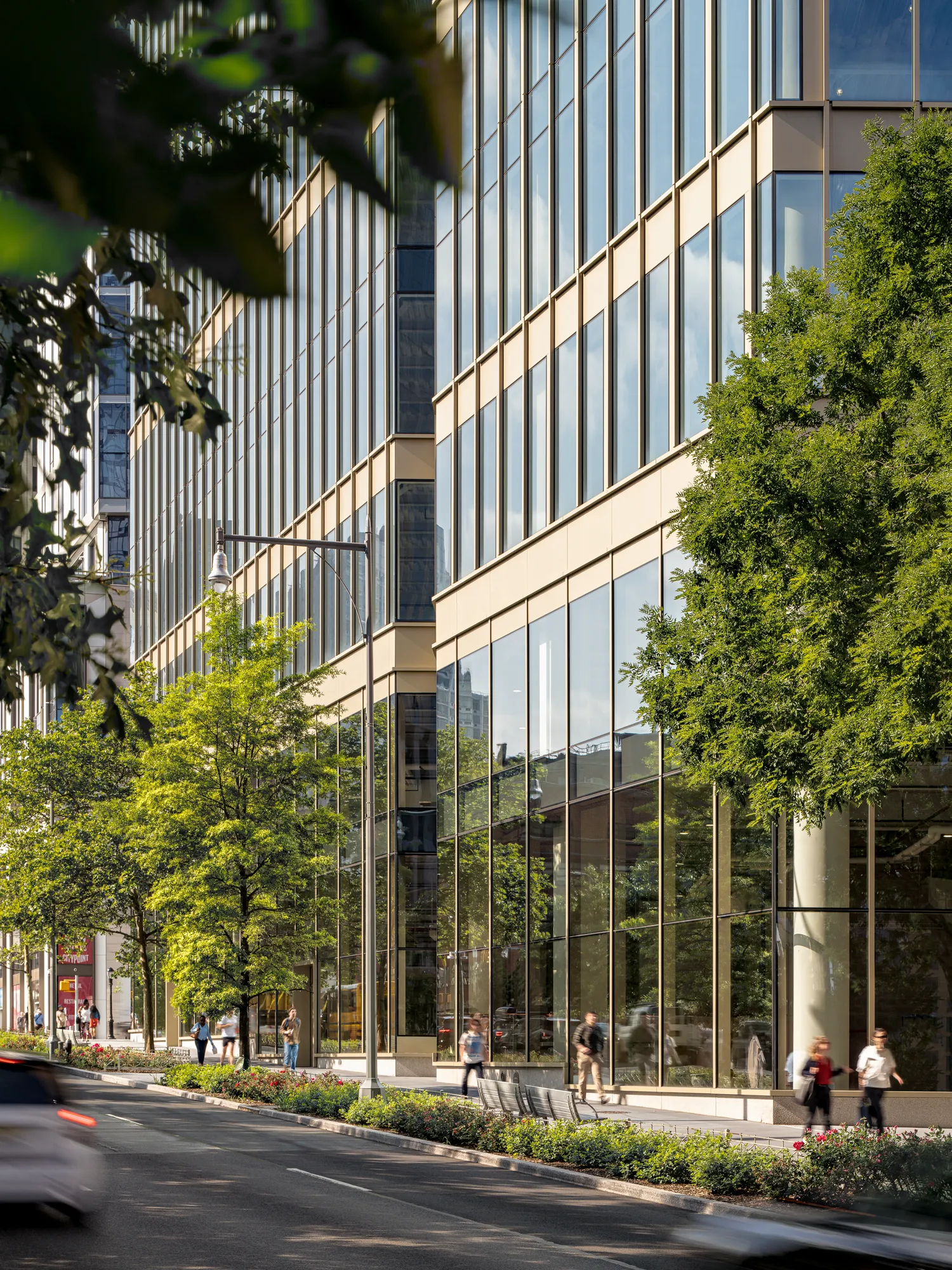 Alexander Severin | Portfolio